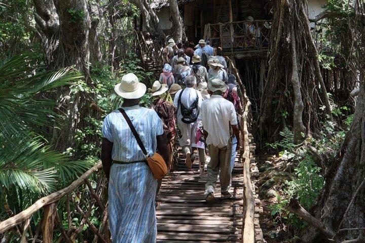 Diani Beach: Kaya Kinondo Sacred Forest Guided Tour