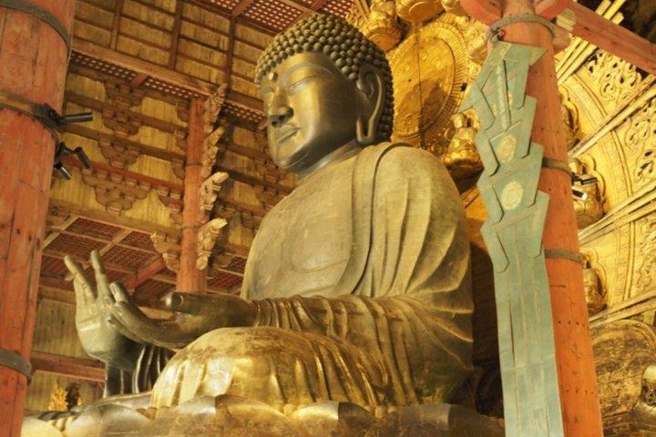 Customizable Private Tour in Osaka Nara Kobe and Kyoto