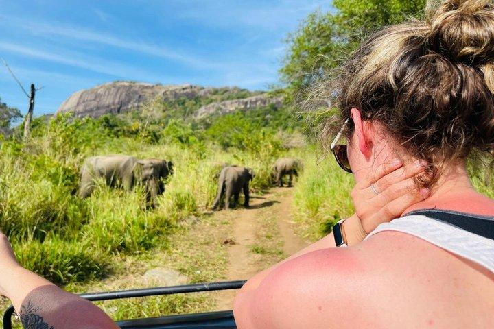 Private Polonnaruwa Ruins & safari Tour from Sigiriya/Dambulla
