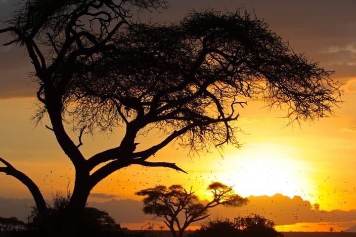 3 Days 2 Nights Maasai Mara Group Joining Mid-Range Safari
