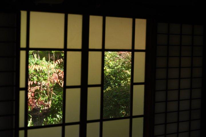 Mt. Fuji / Hakone Gateway | Authentic Tea Ceremony in Mishima