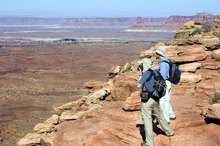 Canyonlands National Park Morning or Afternoon Van Tours