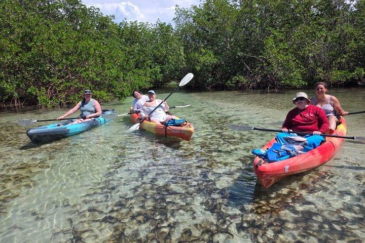 Siesta Key Kayak & Paddleboard Rentals | Midnight Pass Beach