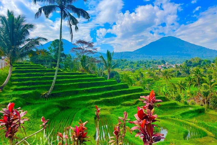 Bali Customized Tour Private Car and Driver