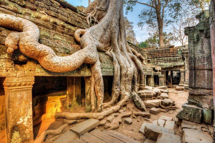 Private Angkor Temples Walking Tour With Guide