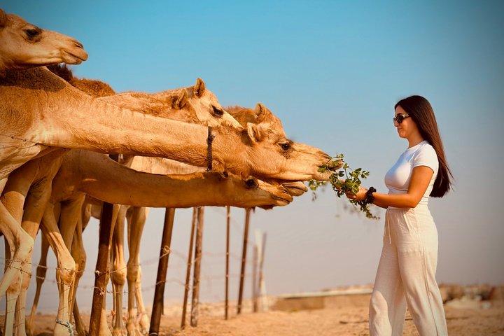 Abu Dhabi Evening Desert Safari: BBQ Dinner, Camel Ride & Shows