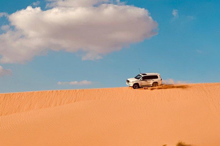 Abu Dhabi Evening Desert Safari: BBQ Dinner, Camel Ride & Shows