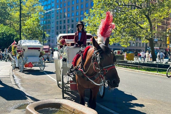 NYC: Official Guided Central Park Horse Carriage Ride