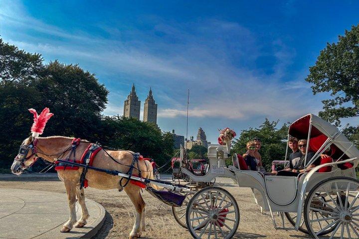 NYC: Official Guided Central Park Horse Carriage Ride