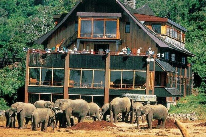 3 Days Princess to Queen Elizabeth Aberdare Luxury Safari