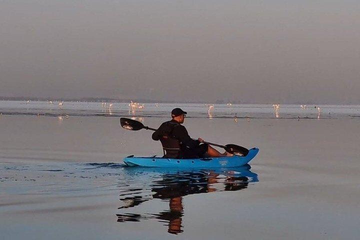 Kayak Experience 2 Routes Mangroves & Canals Yas Island Abu Dhabi
