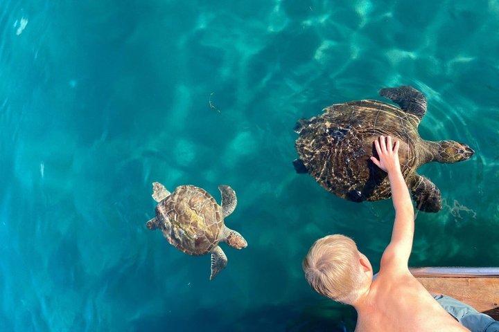 Zakynthos Glass Bottom Boat Tour to Keri Caves and Turtle Island