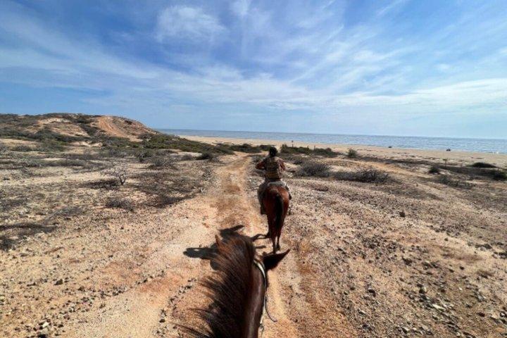 Cabo San Lucas 3-in-1 Combo: Sky Bike, Camels or Horses, and ATV