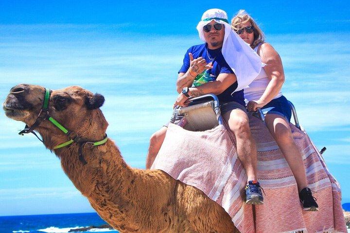 Private Camel Ride Beach Adventure with Unlimited Photo Opps
