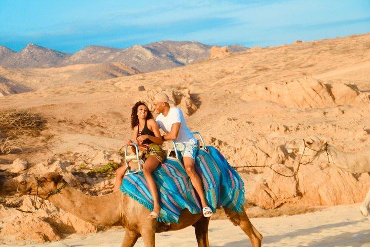 Private Camel Ride Beach Adventure with Unlimited Photo Opps