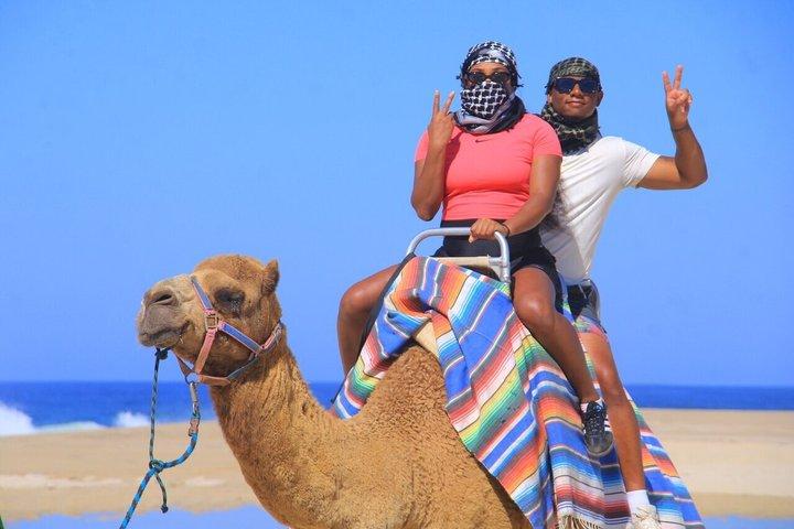 Cabo Dual Adventure: ATV Thrill + Camel Ride Bliss