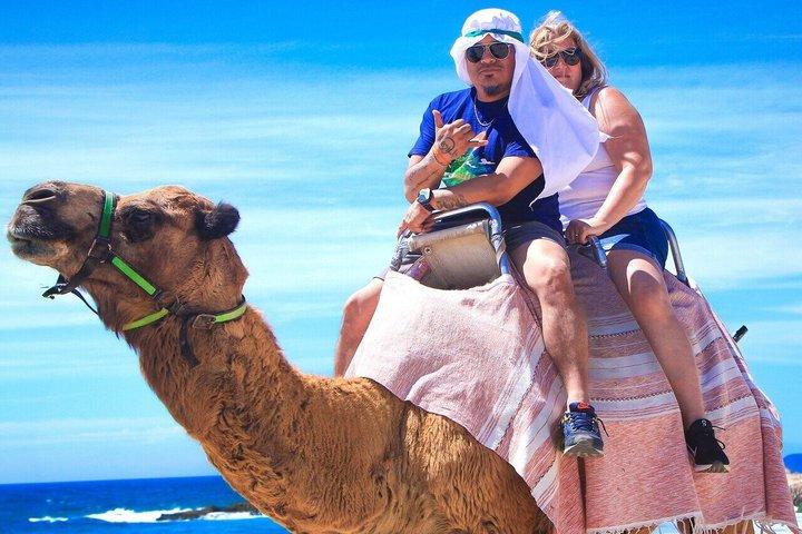 Private Cabo San Lucas ATV and Camel Ride with Unlimited Pics!