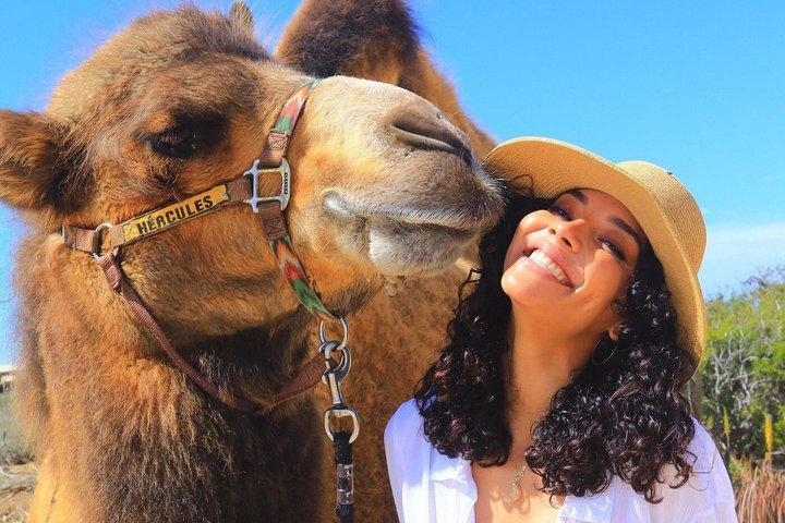 Cabo Dual Adventure: ATV Thrill + Camel Ride Bliss