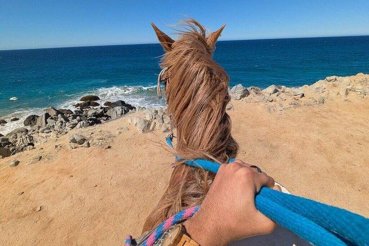 Cabo San Lucas Side-by-Side & Horseback Riding with photo opps!