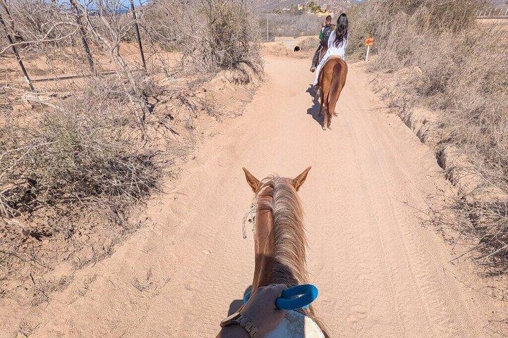 Cabo San Lucas Side-by-Side & Horseback Riding with photo opps!