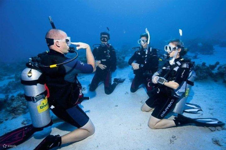 Intro Diving 2 Stops For Beginners, Cruise With Lunch – Hurghada