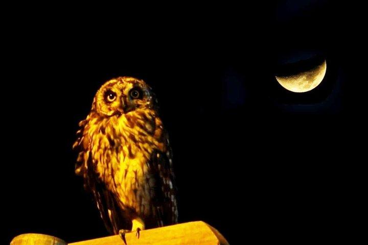 Night Eco Cultural Tour on San Cristobal Island - Galapagos