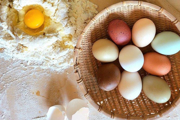 Pastamama, Preserving the intimacy of Italian domestic cooking