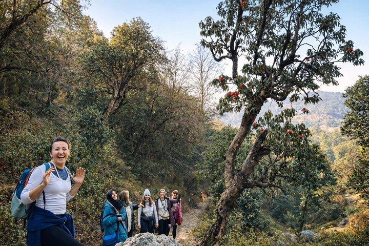 From Rishikesh: 3-Day Mahavatar Babaji Cave & Dunagiri Tour