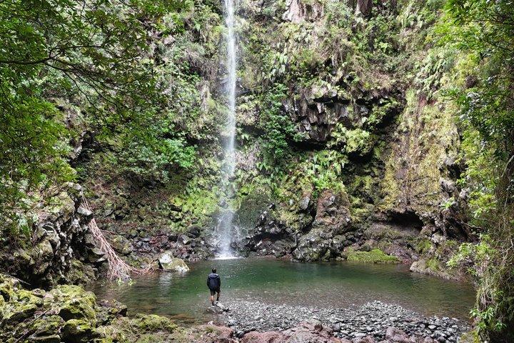 Madeira Jeep Safari – Hidden Gems, Fanal & Seixal Off-Road Tour