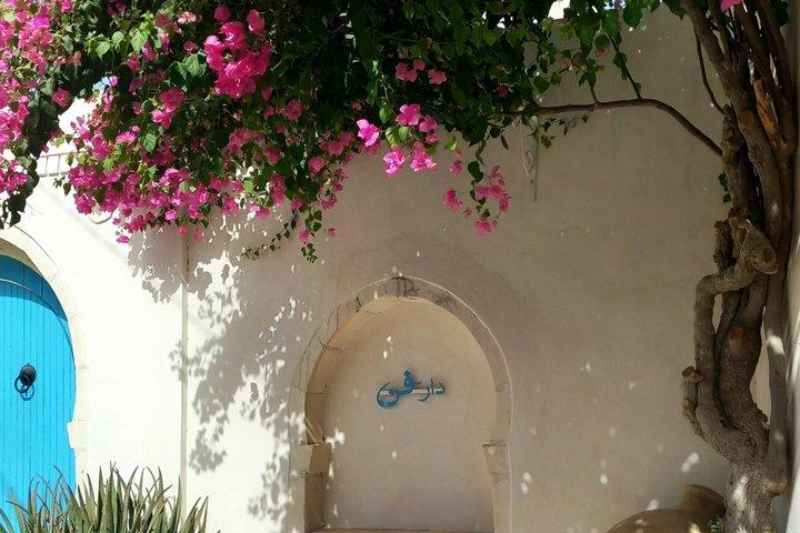 Full Day Guided Djerba Island Tour and Crocodile Park with Lunch