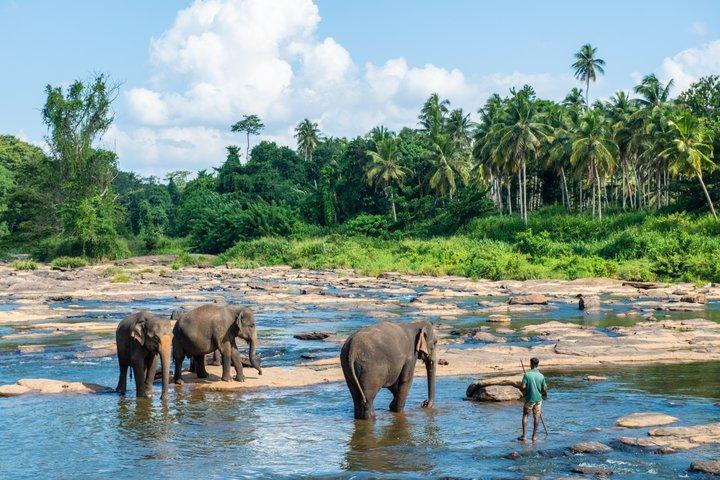 Zero-Stress Journey: Ella to Airport & Colombo