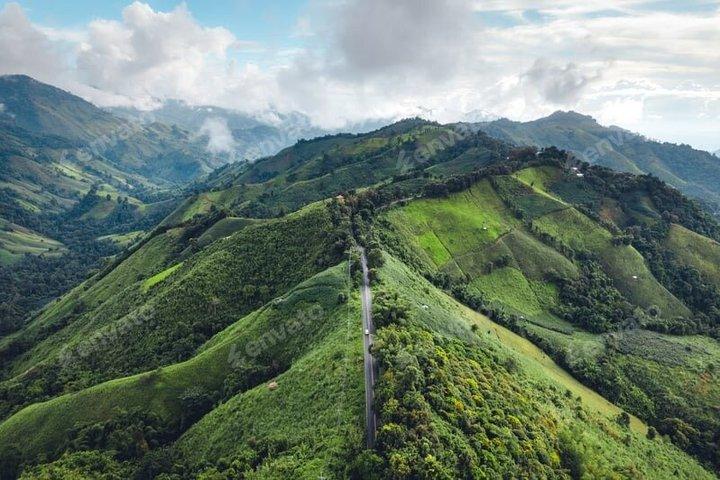 Tea Country Link: Private Taxi Transfer | Nuwara Eliya to Ella