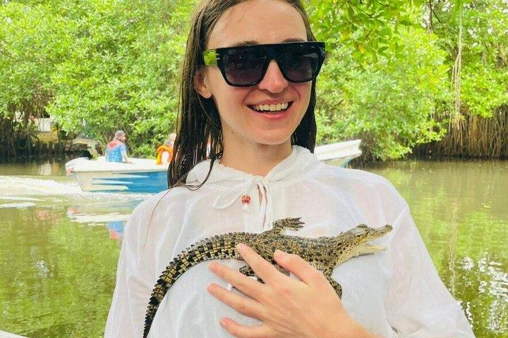 River Safari Bentota with Mangroves ,crocodiles ,Birds, Monkeys.