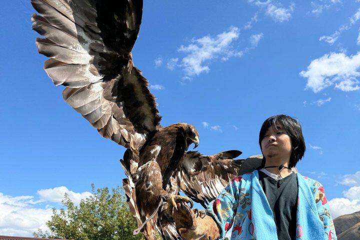 Ethno-Village Tour: Eagle hunting show, Horseback show and Lunch