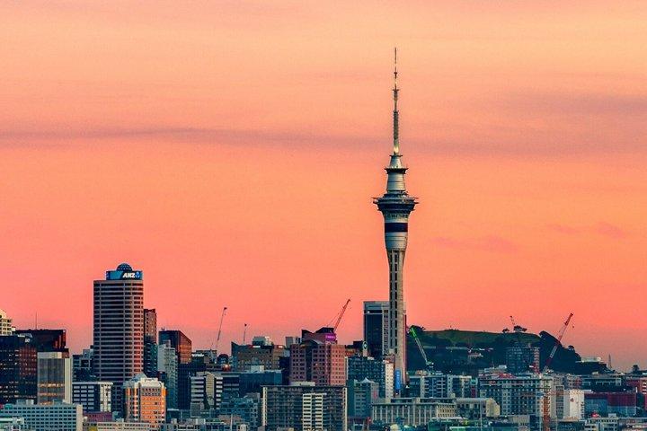 Auckland Walking Tour 1h30 and 17 audio reviews