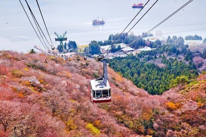 Hakone Private & Custom Day Tour with English Driver-guide