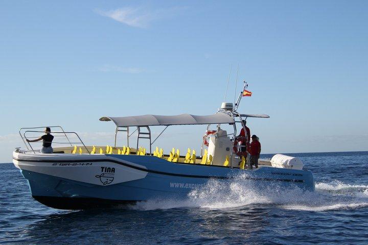 3 hrs Boat Excursion for whale watching from Valle GR (La Gomera)