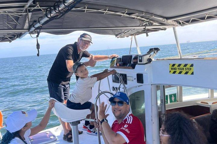 Dolphin & Seal Boat Cruise