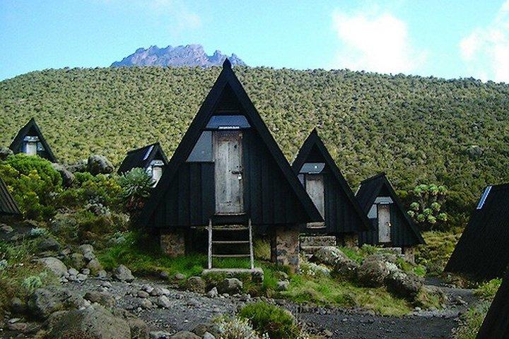 1 Mount Kilimanjaro Day Hike via Marangu Route Mandara Hut