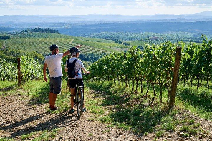 2-Day E-Bike Tuscany Tour with Meals, Wineries, and Farmstay