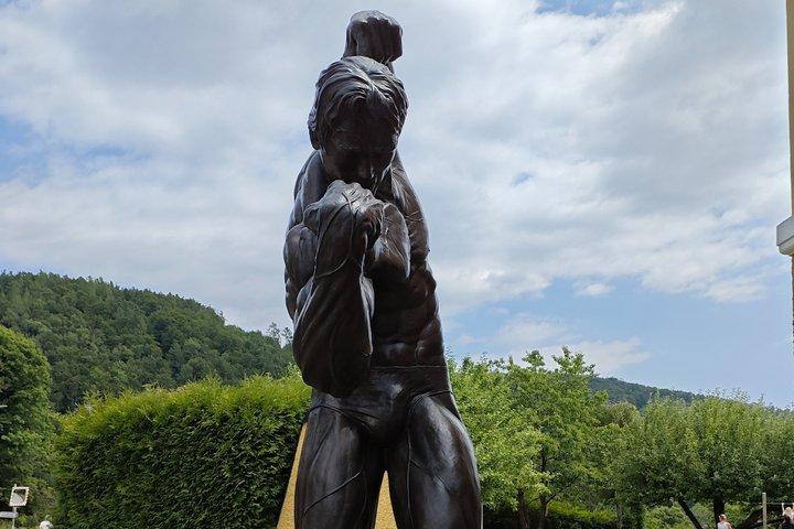 Arnold Schwarzenegger Museum & Graz Private Tour from Vienna