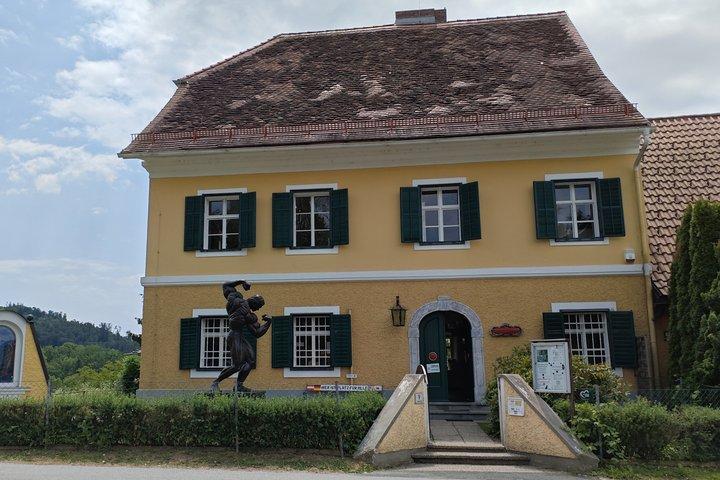 Arnold Schwarzenegger Museum & Graz Private Tour from Vienna