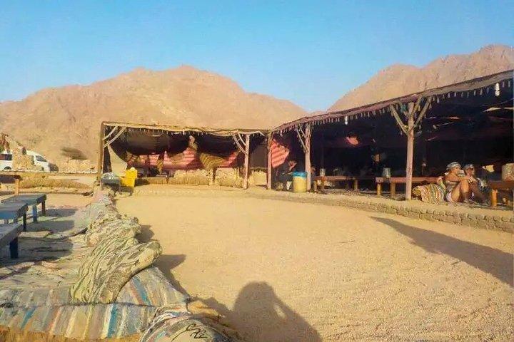 Hurghada 3Hr Desert ATV Quad Safari and Camel with Bedouin Visit