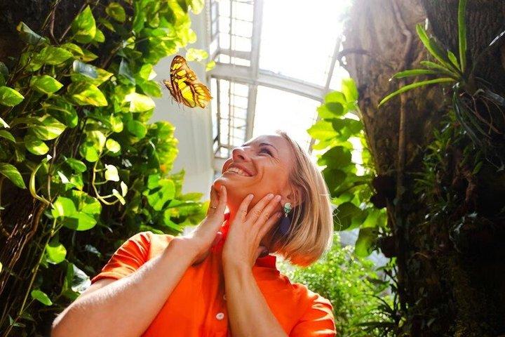 Dubai Butterfly Garden Tickets