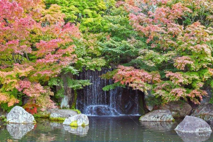 Himeji Castle and Koko-en Garden Private Day Trip from Kyoto
