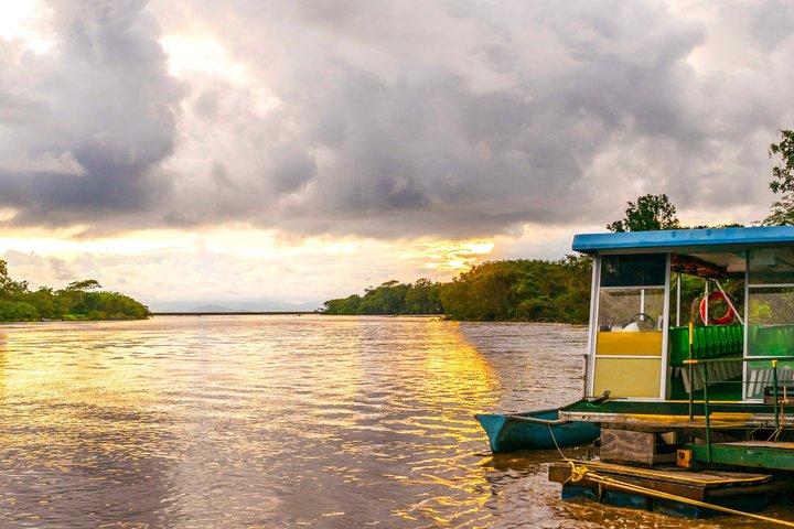 Adventure in the jungle river and crocodiles