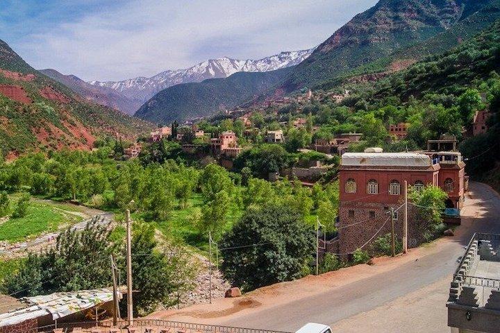 Day trip to ourika valley and berber village