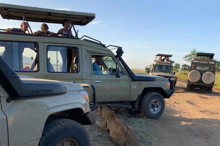 1 Day Tsavo East and West Extreme Wildlife Safari Adventure