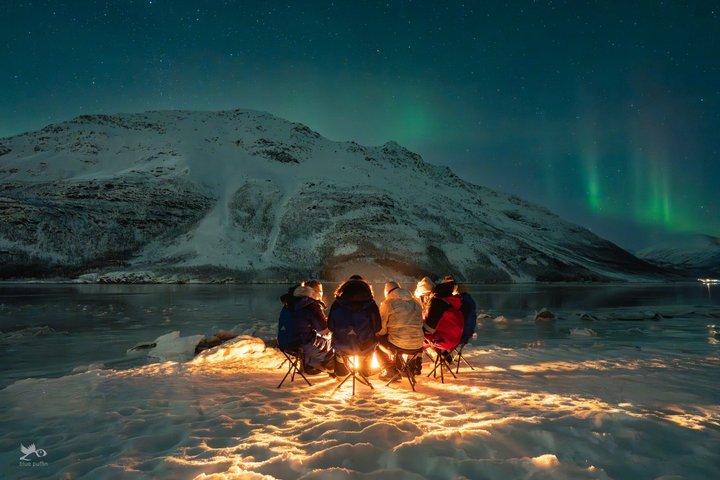 Tromsø: Northern Lights by Minibus - Free Photos and Warm Dinner
