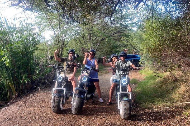 Guided 3-Hour E-Scooter Island Tour in Aruba (1 or 2-seater)